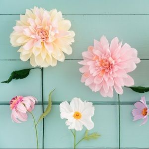 Meet your Posher, Doris